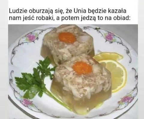 Robaki na obiad
