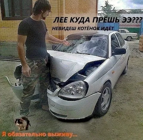 Котёнок обязательно выживет