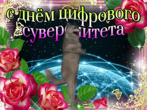 Кот празднует цифровой суверенитет