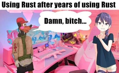 Using Rust After Years of Rust
