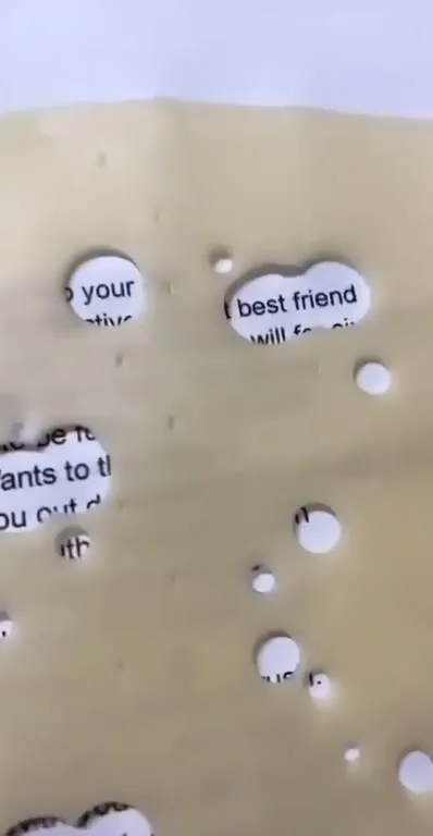 Cheese Reveals Best Friend Wants to Hangout