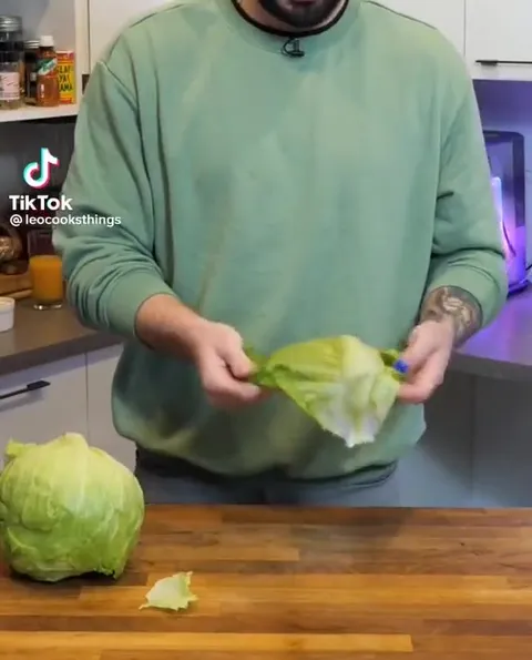 Кот в шапке из салата