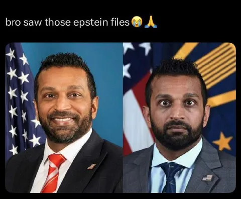 Bro Saw the Epstein Files