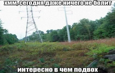 Сегодня ничего не болит