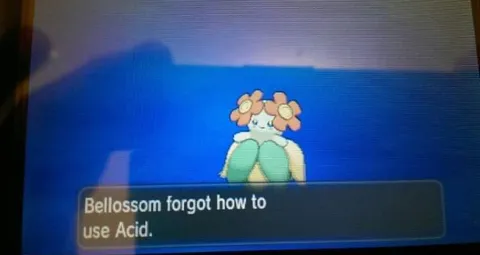 Bellossom Forgot Acid
