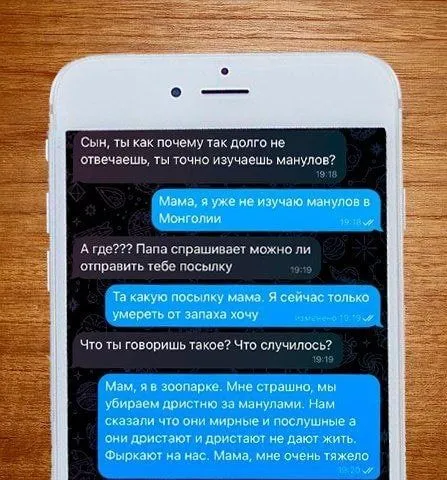 Изучение манулов в Монголии