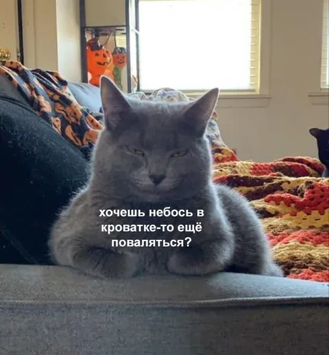 Кот зовёт поваляться в кроватке