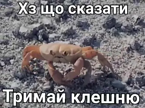 Тримай клешню, коли нічого сказати