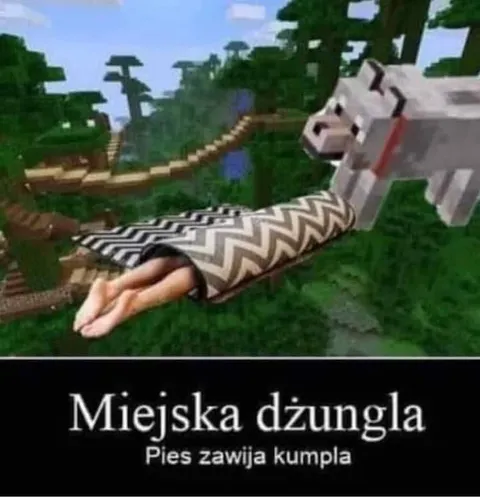 Pies zawija kumpla w dżungli