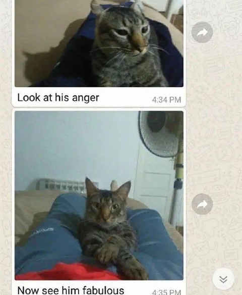 Look at His Anger, Now Fabulous