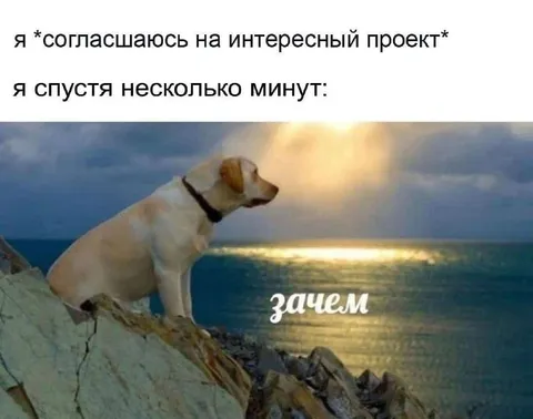 Согласился на интересный проект
