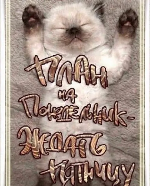 План на понедельник — ждать пятницу