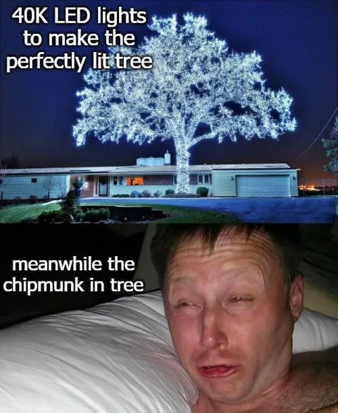 40K LED Lights vs Chipmunk