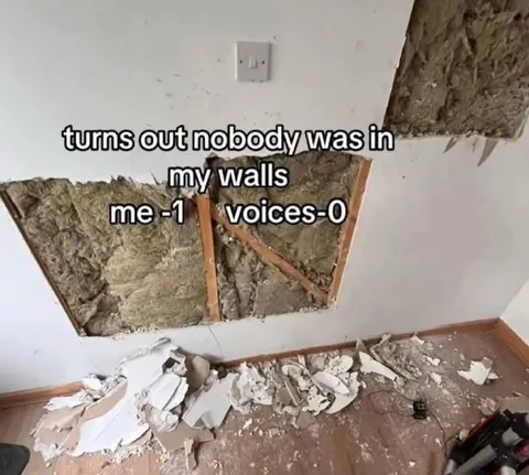 Nobody Was in My Walls
