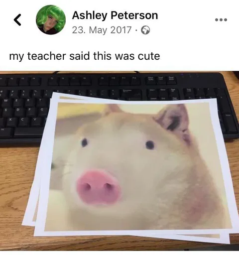 Teacher Said This Was Cute