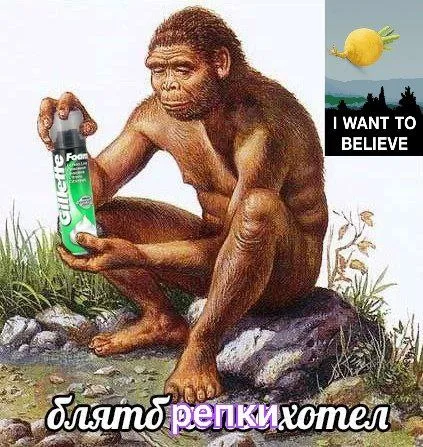 Блядь репки хотел