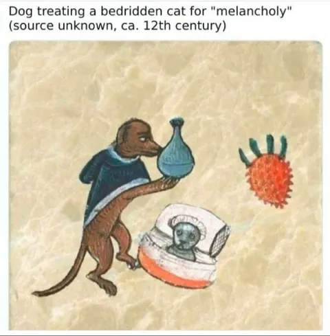 Medieval Dog Treating Melancholy Cat