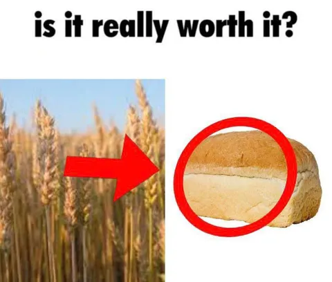 Is It Really Worth It?
