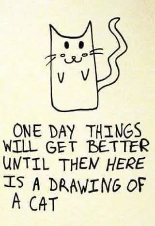 Things Will Get Better Cat