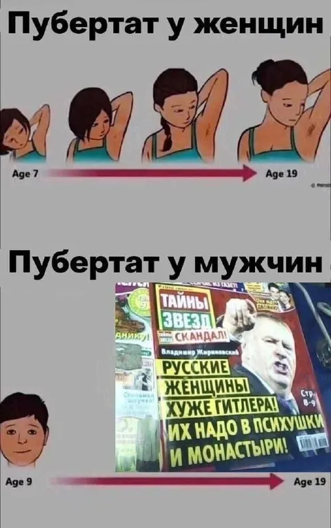Пубертат у мужчин и женщин