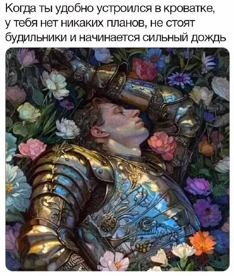 Удобно устроился и пошёл дождь