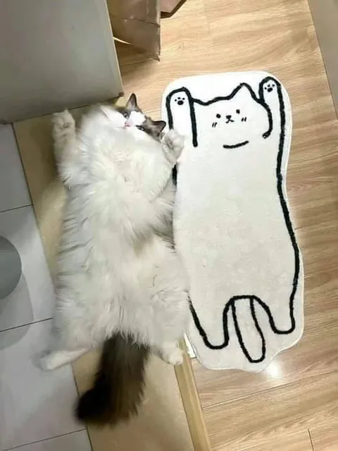 Кот рядом с котом-ковриком