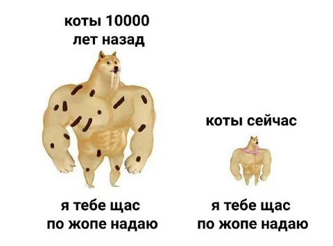 Коты тогда и сейчас