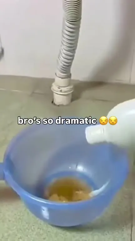 Dramatic Kitten Bath