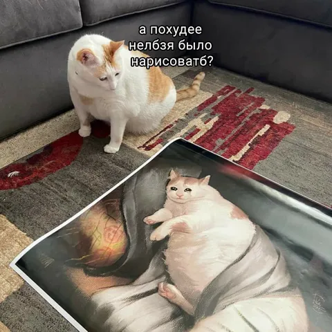 Кот просит нарисовать похудее
