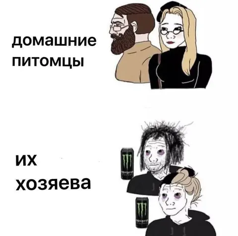 Домашние питомцы и их хозяева