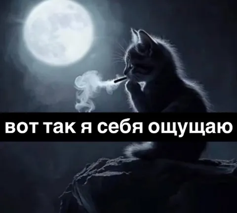 Вот так я себя ощущаю
