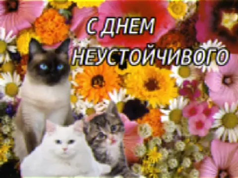 С днём неустойчивого интернета