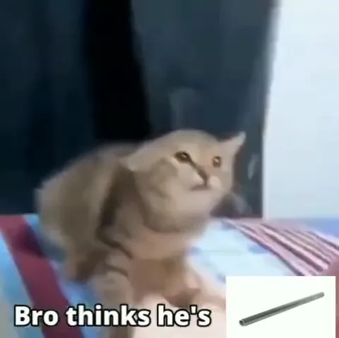 Bro Thinks He's Glass Breaking