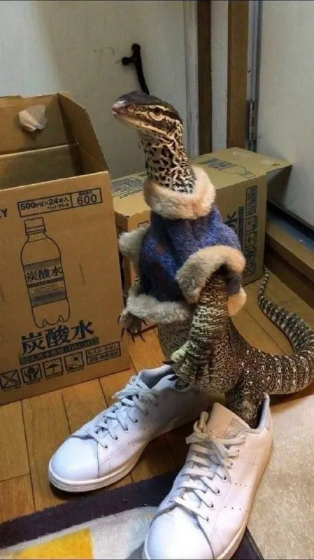 服を着たトカゲ