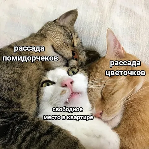 Свободное место в квартире