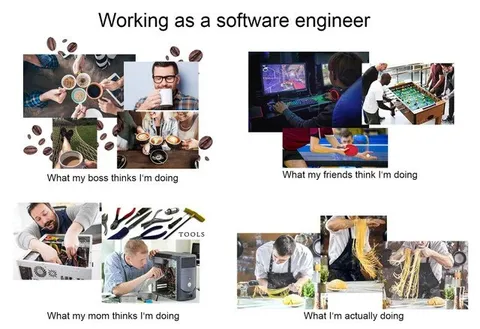 Working as a Software Engineer