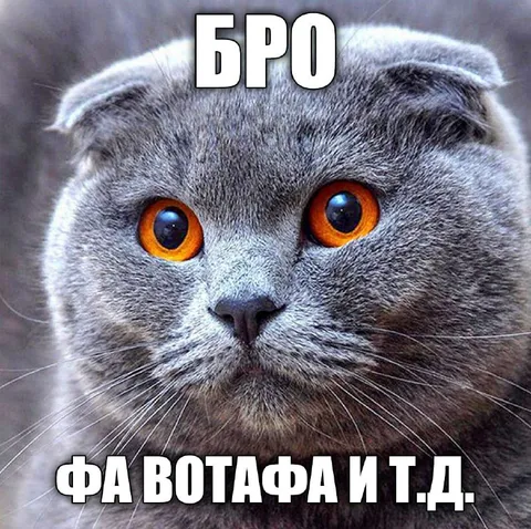 Бро фа вотафа и т.д.