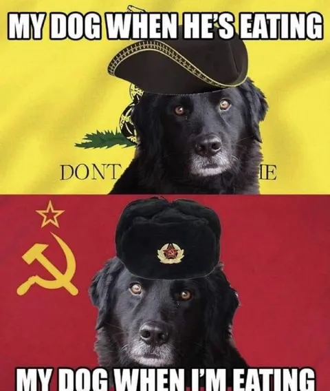 My Dog When He’s Eating