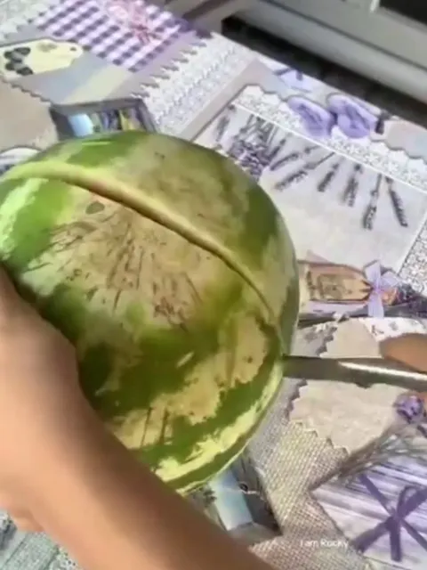 Собака в арбузной каске