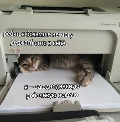Кот в принтере и рабочая неделя