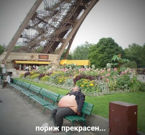 Париж прекрасен с животом