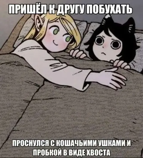 Проснулся с кошачьими ушками