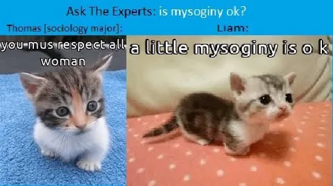 A Little Misogyny Is Okay