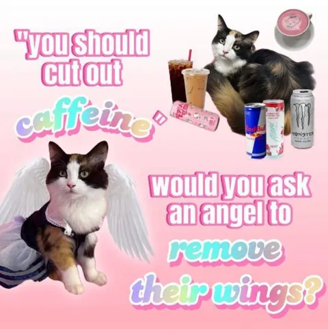 Angel Cat Quits Caffeine
