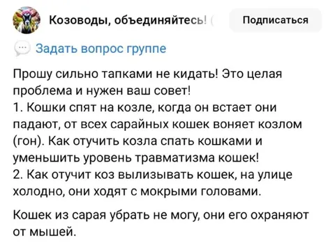 Козёл спит с кошками