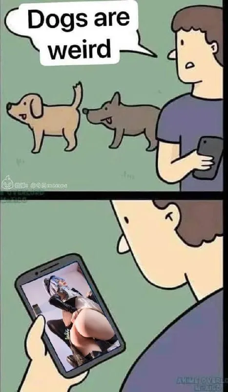 Dogs Are Weird