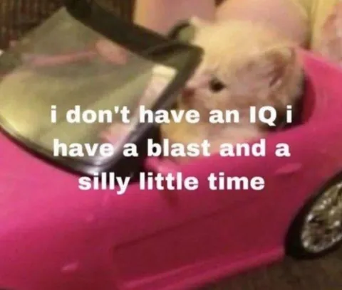 Hamster Has a Silly Little Time