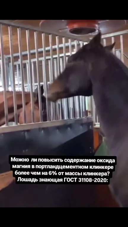 Лошадь знает ГОСТ