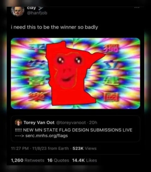 Minnesota Flag Winner Reaction