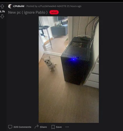 New PC, Ignore Pablo